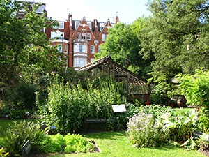 chelsea physic garden - london