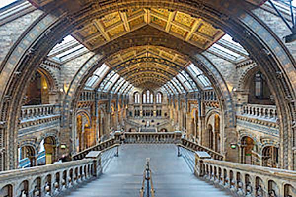 natural history museum - london